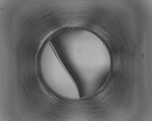 X0000075390584200609080941