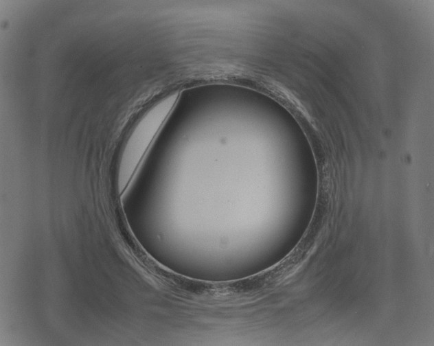 X0000075390589200609080941