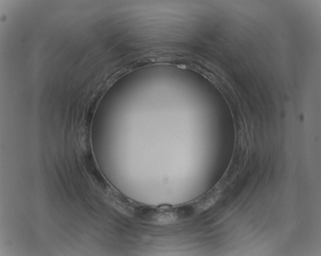 X0000075390604200609080941