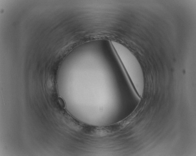 X0000075390608200609080940