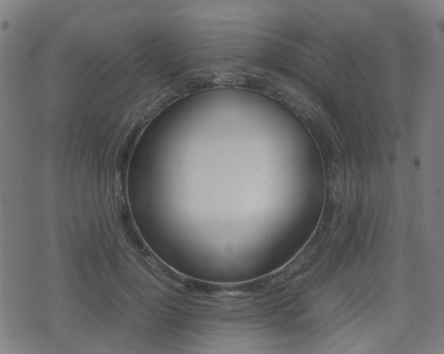 X0000075390748200609080938