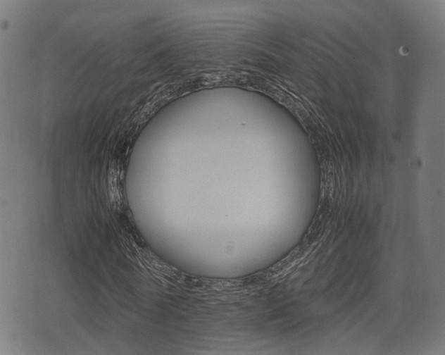 X0000075390770200609080938