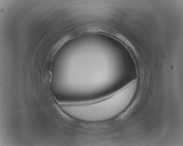 X0000075390801200609080937