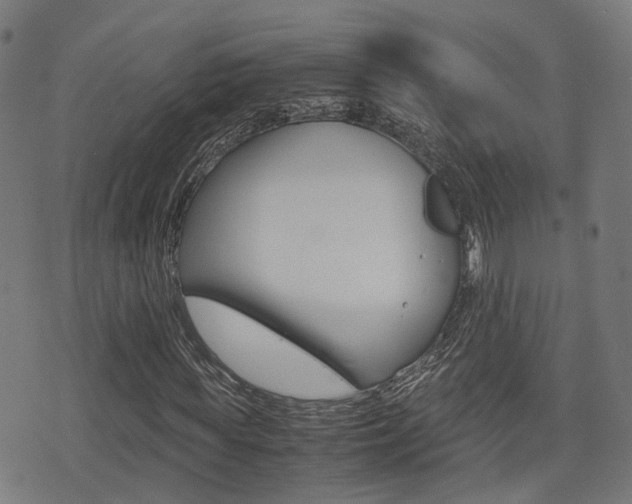 X0000075390819200609080936