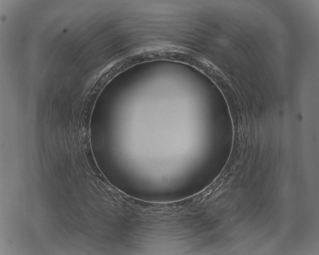 X0000075390822200609080936