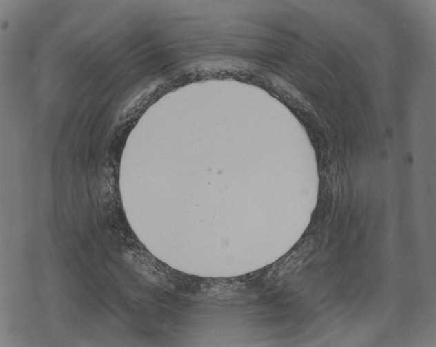 X0000075390824200609080936