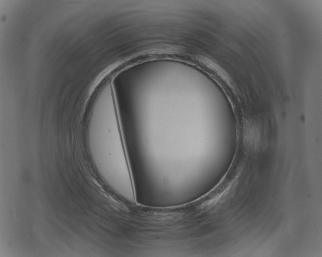 X0000075390829200609080936