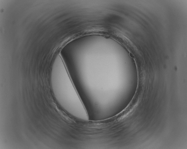 X0000075390833200609080937