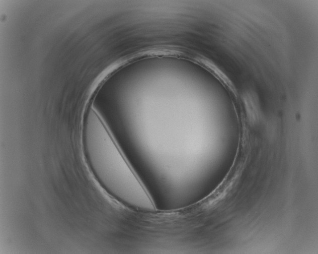 X0000075390853200609080937