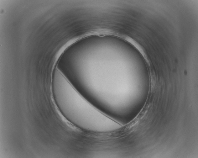 X0000075390861200609080937