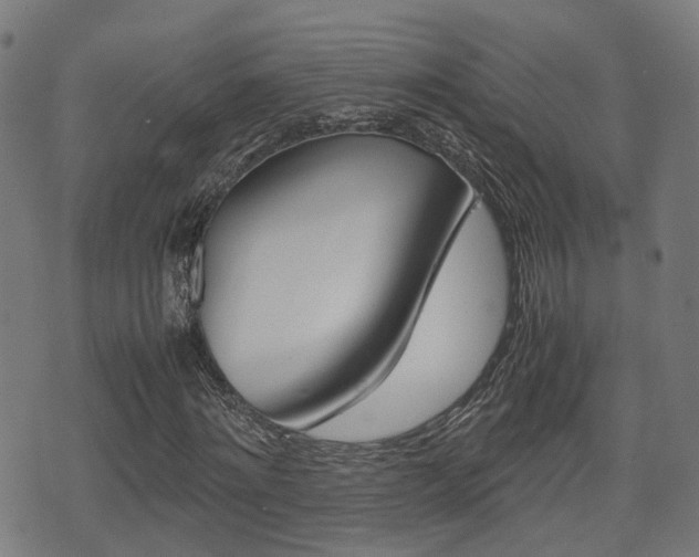 X0000075390868200609080936