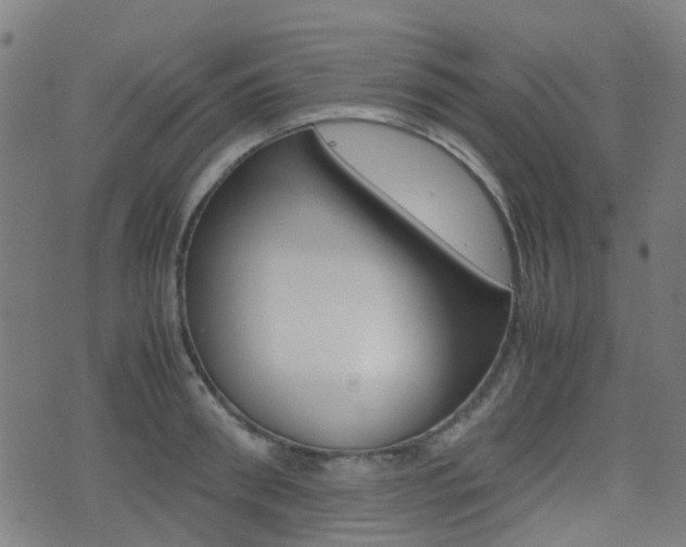 X0000075390898200609080936