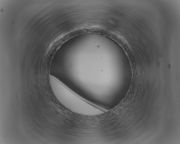 X0000075390920200609080935