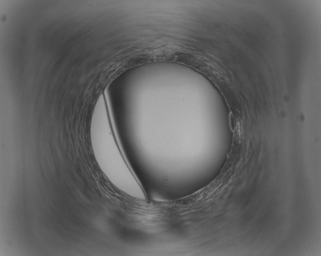 X0000075390963200609080935