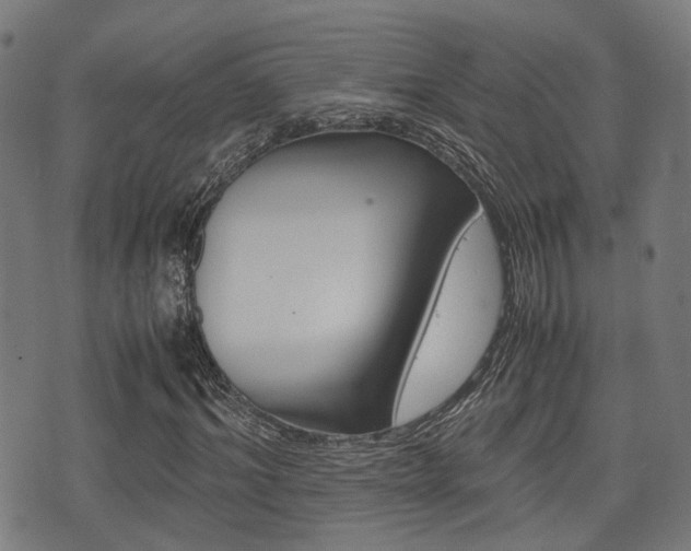 X0000075390964200609080935