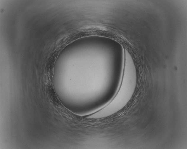 X0000075390965200609080935