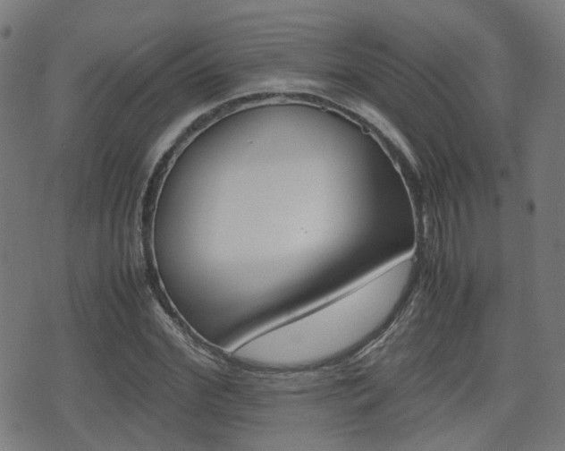 X0000075390972200609080935
