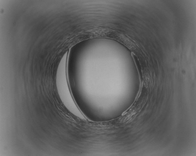 X0000075391010200609080933