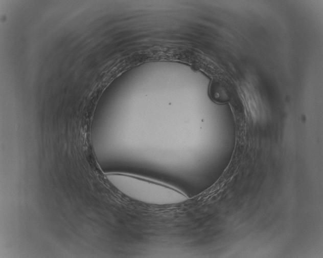 X0000075391013200609080933