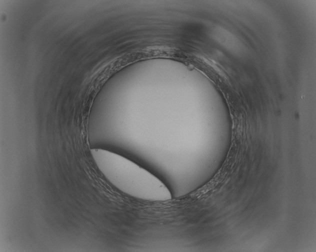 X0000075391015200609080933
