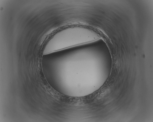 X0000075391016200609080933
