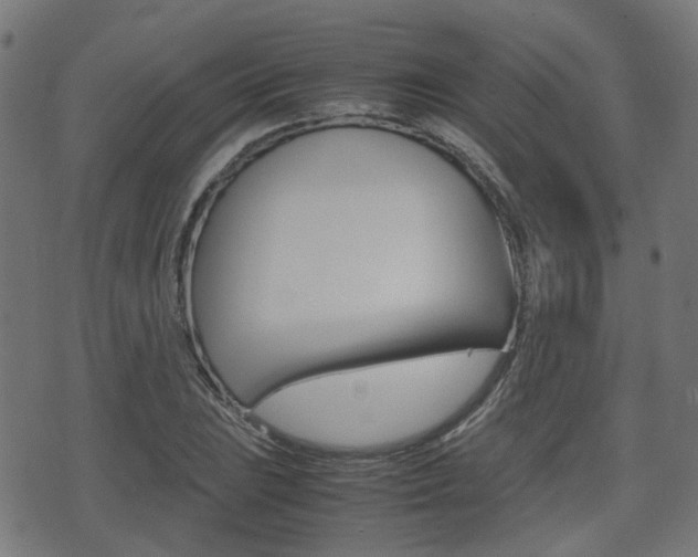 X0000075391023200609080933