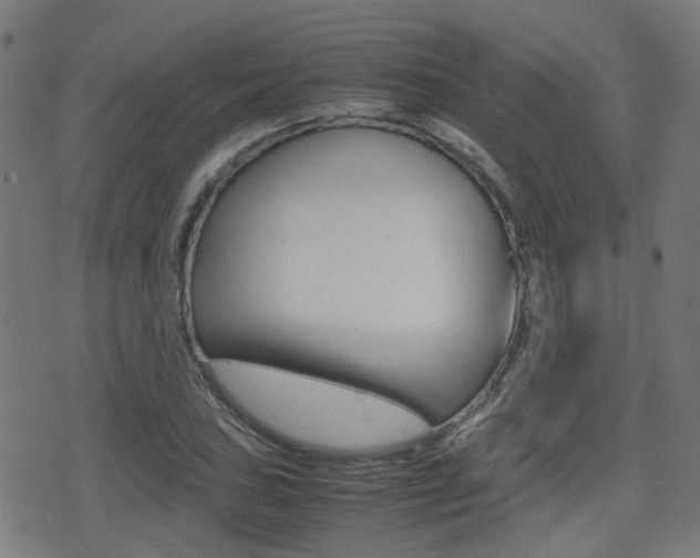 X0000075391027200609080933