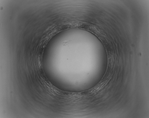 X0000075391058200609080933