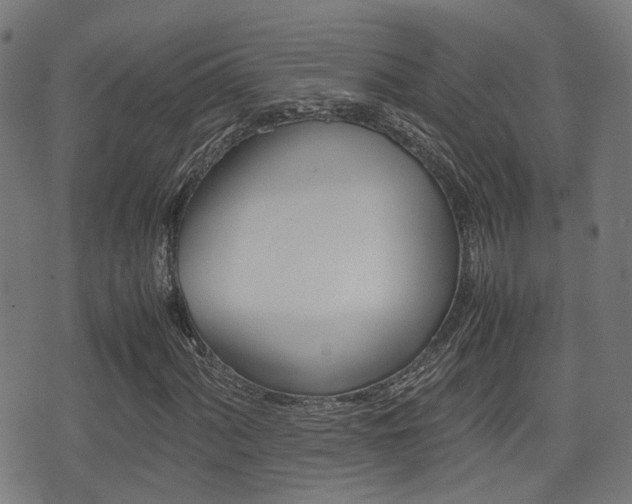 X0000075391060200609080933