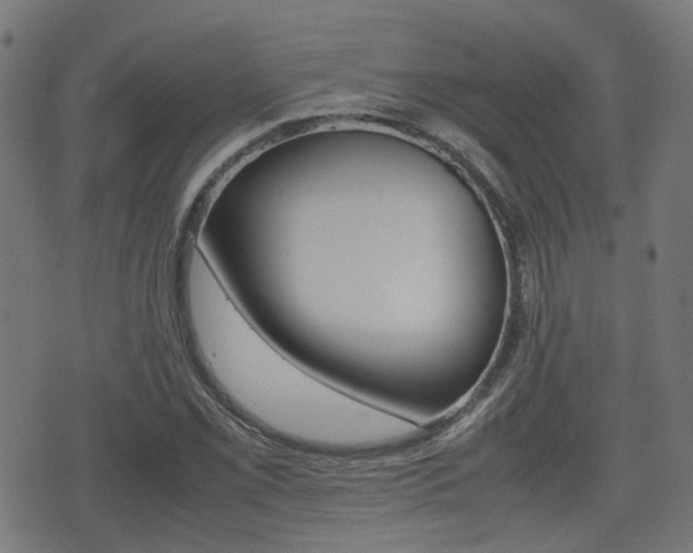 X0000075391069200609080933