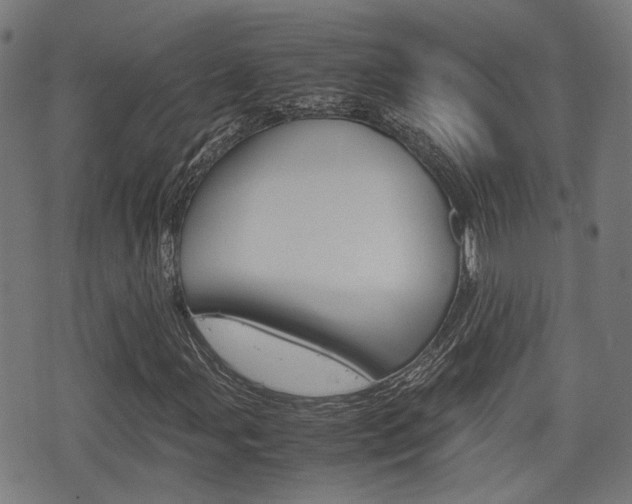 X0000075391107200609080932