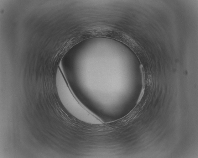 X0000075391108200609080932