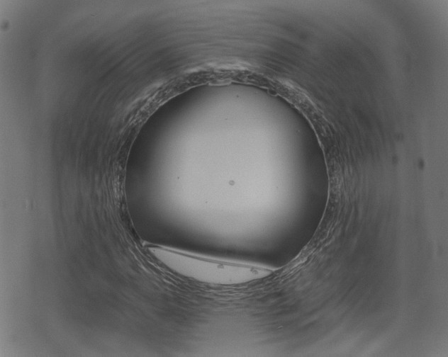 X0000075391110200609080932
