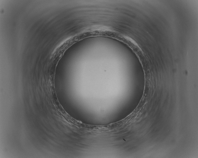 X0000075391112200609080932