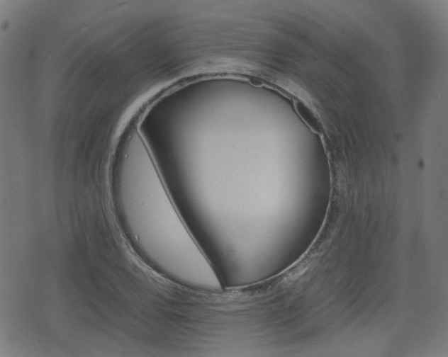 X0000075391120200609080932