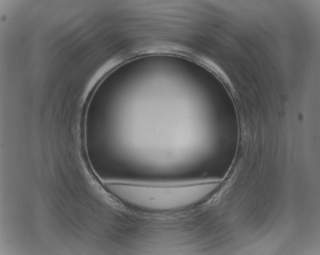 X0000075391138200609080932