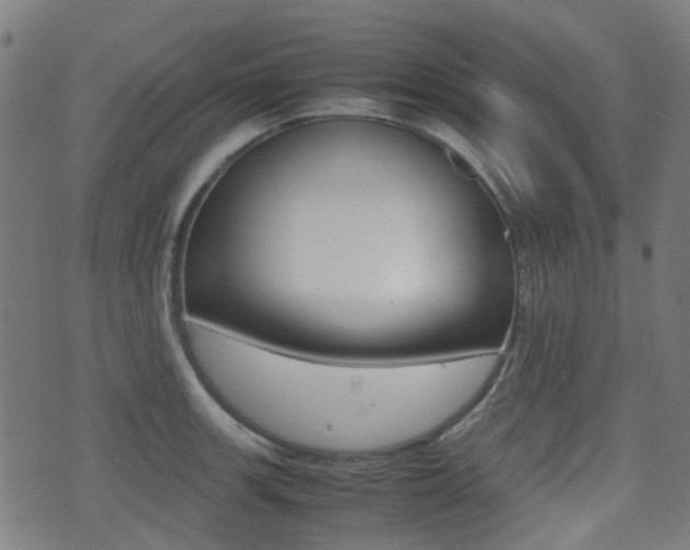 X0000075391139200609080932