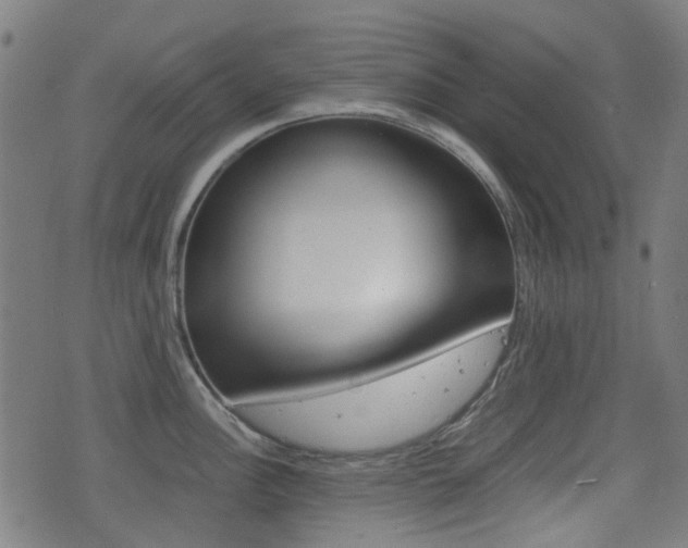 X0000075391148200609080932