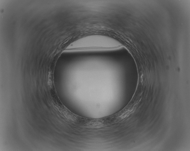 X0000075391156200609080932