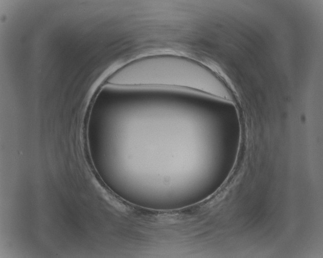 X0000075391181200609080931
