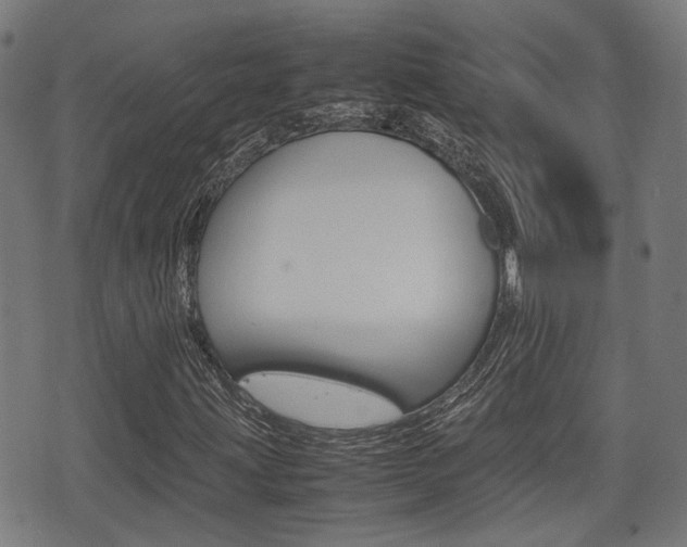 X0000075391203200609080930