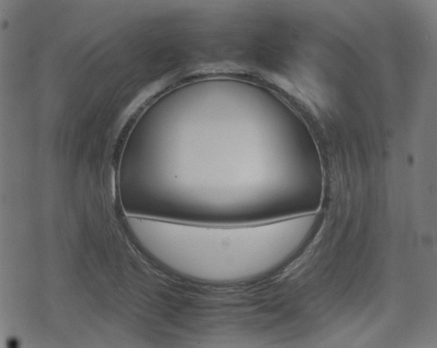 X0000075391221200609080930