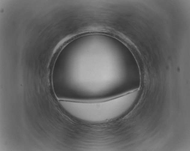 X0000075391222200609080930