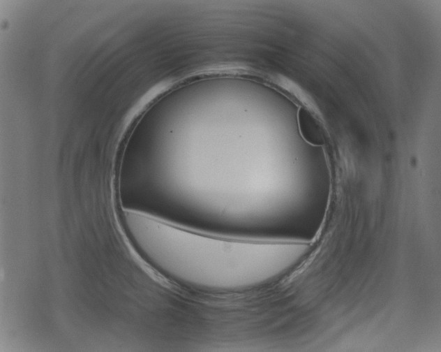 X0000075391237200609080931