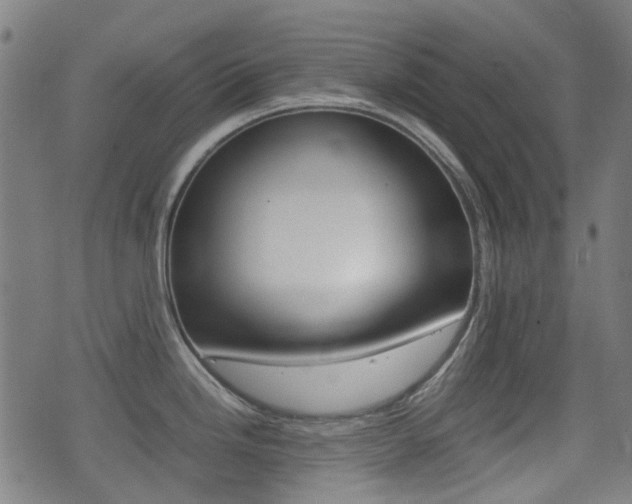 X0000075391246200609080931