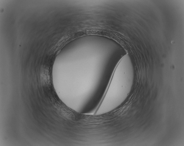 X0000075391252200609080930