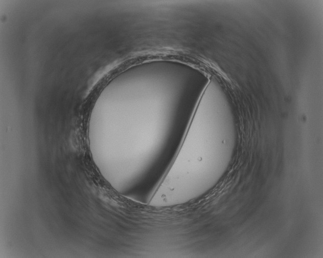 X0000075391256200609080930