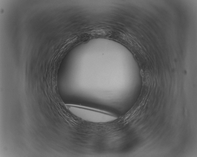 X0000075391297200609080928