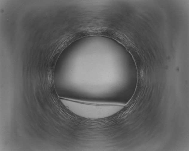 X0000075391300200609080929