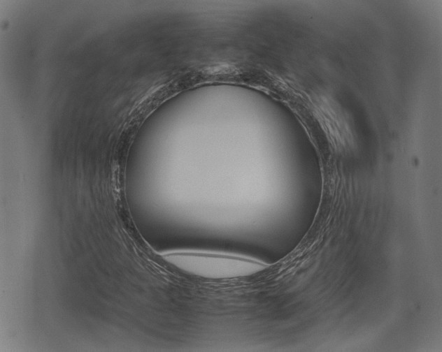 X0000075391301200609080929